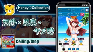 天井・恩恵・ヤメ時：ハニーコレクション（Honey Collection）